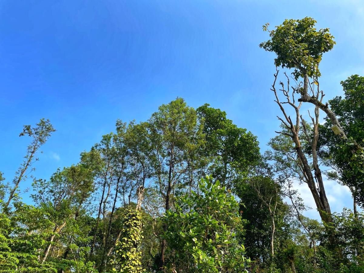 Sandev Homestay マディケーリ エクステリア 写真