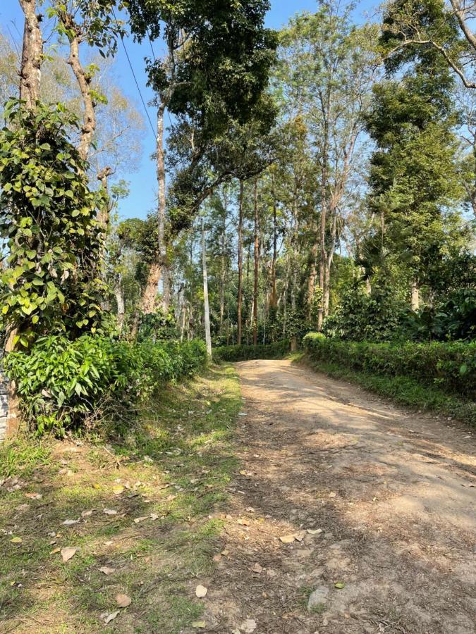 Sandev Homestay マディケーリ エクステリア 写真