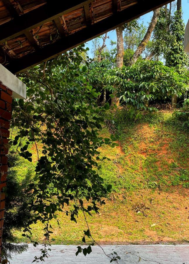 Sandev Homestay マディケーリ エクステリア 写真